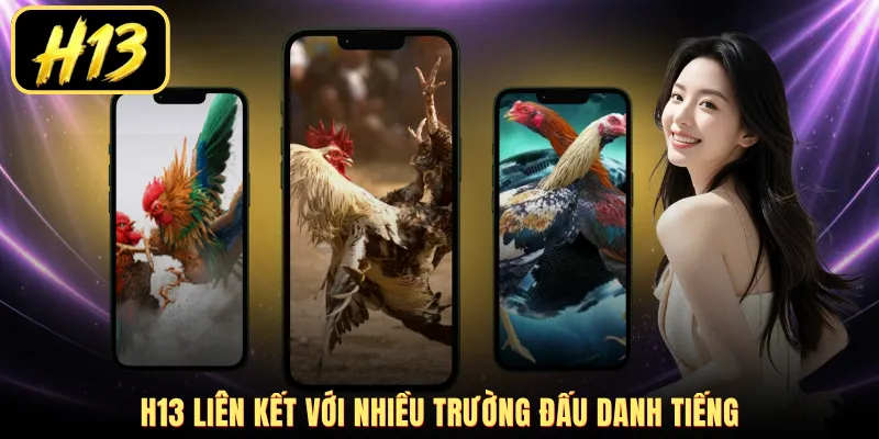 H13 liên kết với nhiều trường đấu danh tiếng