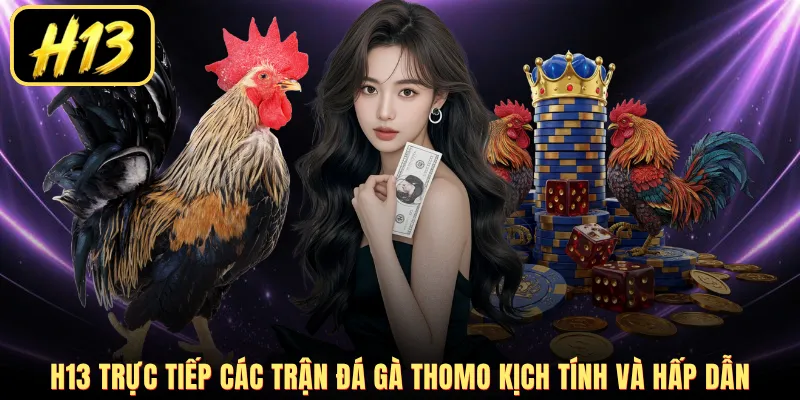 H13 trực tiếp các trận đá gà Thomo kịch tính và hấp dẫn